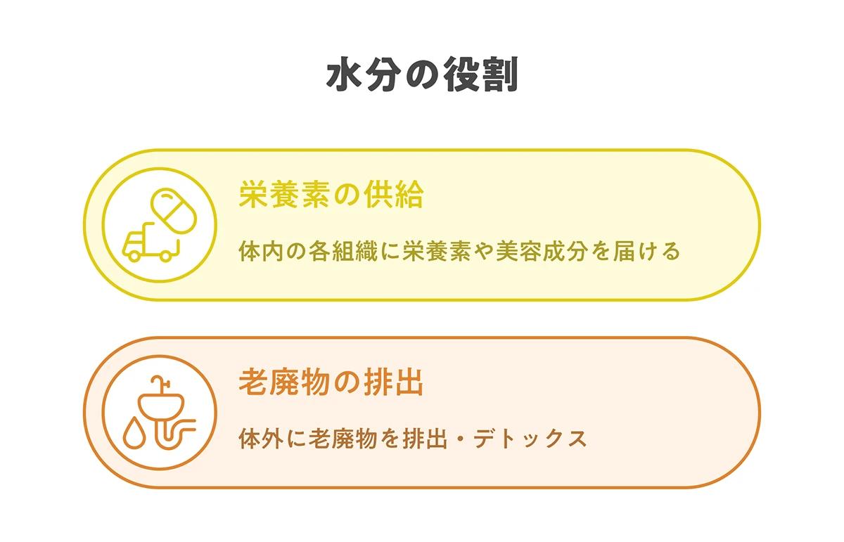 栄養素の供給：体内の各組織に栄養素や美容成分を届ける、老廃物の排出：体外に老廃物を排出・デトックスする